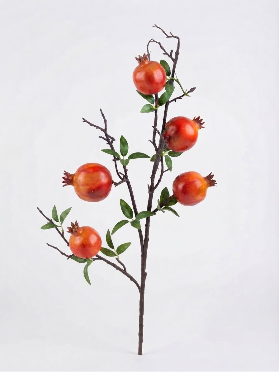 شاخه انار پنج میوه وارداتی